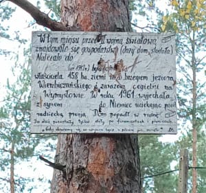 Jankowo i Wierzbiczany - Gniezno - 4