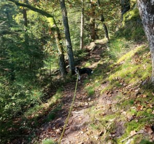 Cascade Soultzbatt - Urmatt - 4