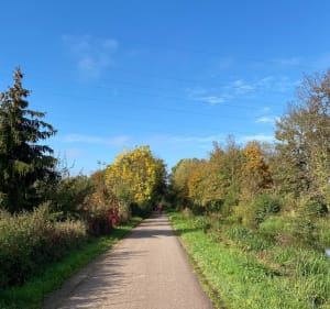 Promenade au Canal de la Bruche - Eckbolsheim - 3