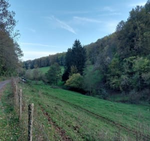 Au dessus de Bourbach-le-bas - Bourbach-le-Bas - 5