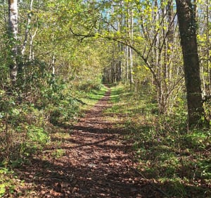 Promenade autour d'Aucun - Aucun - 5