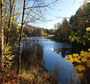 Wycieczka Mosina i okolice - Mosina - 5