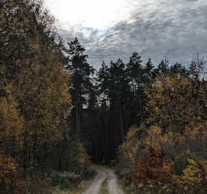 Natura 2000 Sztumskie Pole - Grzępa - 3