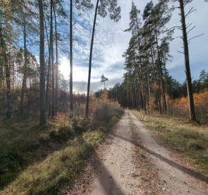 Natura 2000 Sztumskie Pole - Grzępa - 4