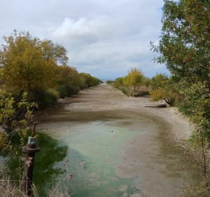 Capestang : phare, étang, Cruzy - viviane - 4