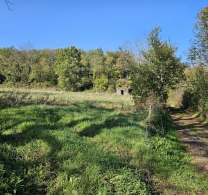 Plateau de Lachaud, de Châteaugay à Volvic par la forêt de M - Châteaugay - 3