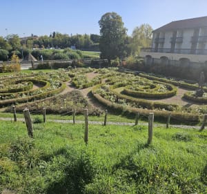 Plateau de Lachaud, de Châteaugay à Volvic par la forêt de M - Châteaugay - 4