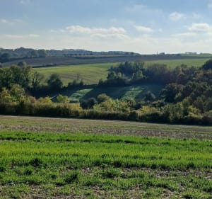 Balade entre Talmas et Naours - Talmas - 4