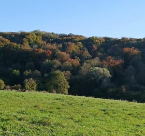 Balade entre Talmas et Naours - Talmas - 5