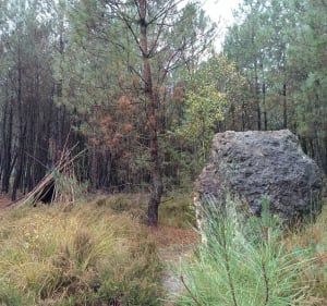 A la découverte des Pierres Tournantes - Saint-Mars-d'Outillé - 3