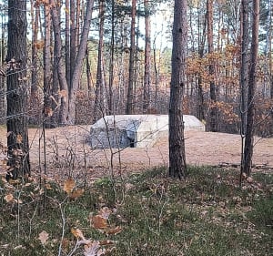 Las Stara Miłosna - P - 5