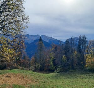 La Tannaz et le Grand-Bornand - Le Grand-Bornand - 4
