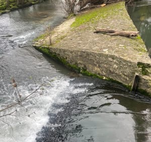 Promenade de santé Tresme - Pommeuse - 5