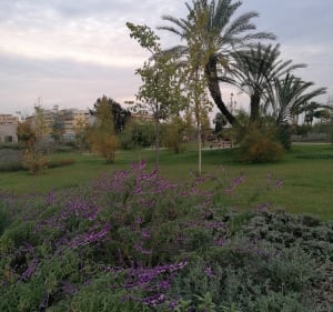 Les parcs de Cagne-sur-Mer - Cagnes-sur-Mer - 3