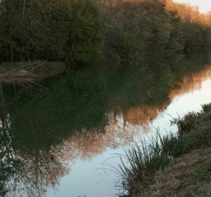Marche le long du canal - Brienon-sur-Armançon - 3