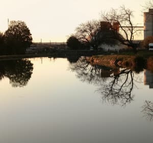 Marche le long du canal - Brienon-sur-Armançon - 4