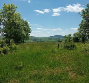 Le circuit de l'Herm aux environs du Monastier - Le Monastier-sur-Gazeille - 3
