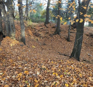 Osiedle Kopernika, Stare Bielsko (grodzisko) - Bielsko-Biała - 5