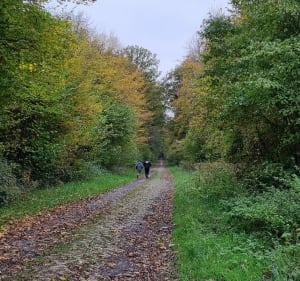 Autour du bois d'Howardries - Cobrieux - 4