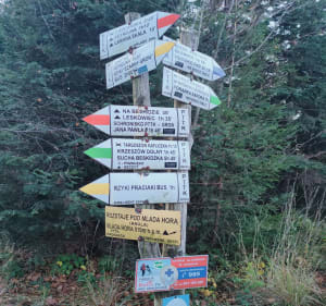 Szybka pętla w Beskidzie Małym - Rzyki - 3