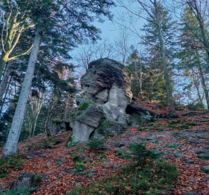 Szybka pętla w Beskidzie Małym - Rzyki - 5