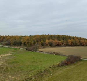 Szczurowa- Koszyce-Górka-Szczurowa - Szczurowa - 4