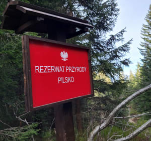 Pilsko wzdoż granicy - Oravská Polhora - 4