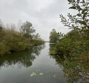 Entre marais et campagne autour de Palluel - Palluel - 3