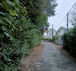 Les Hauts de Saint-Aubin le long de la Maine - Angers - 5