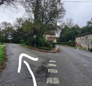 Balade detox après la pluie sur le chemin des 4 villages. - Montgeard - 4