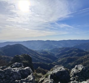 Boucle depuis Wegscheid vers la ferme auberge Belacker - Wegscheid - 5