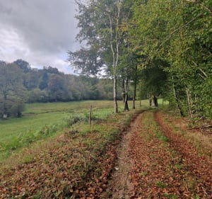Tour de Freix par Vernuéjouls en VTTAE - Freix-Anglards - 4
