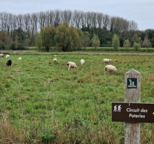 Circuit des poteries - Flines-lès-Mortagne - 3