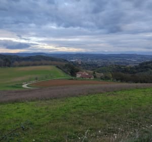 De Charmes-sur-l'Herbasse au Bois de Bard - Charmes-sur-l'Herbasse - 3