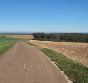 Balade au soleil - Serrigny - 5