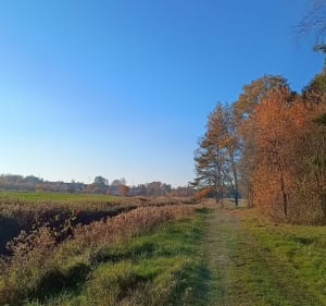 Wzdłuż Rudy w stronę Ligockiej Kużni - Rybnik - 4