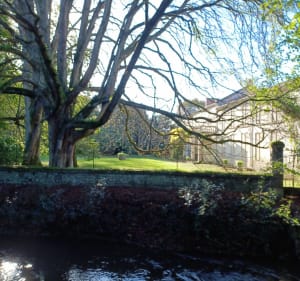 Aux bords de l'Arnoult - Pont-l'Abbé-d'Arnoult - 3