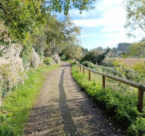 Aux bords de l'Arnoult - Pont-l'Abbé-d'Arnoult - 4