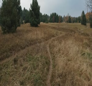 Kręta spacer - Toruń - 3