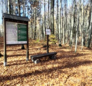 Spacer po Zalesiu - Kielce - 5