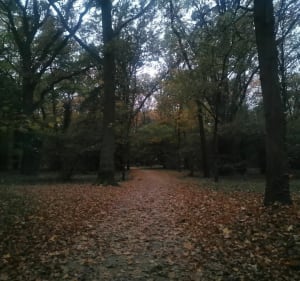 Spacer dawnym cmentarzem, Park Zachodni - Wrocław - 4