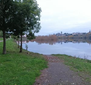 Parc de Balzac et jardins familiaux - Angers - 3