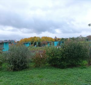 Parc de Balzac et jardins familiaux - Angers - 4