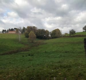 Petite balade dans la campagne cantalienne à Canhac - Marcolès - 3