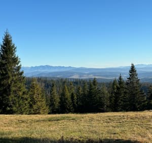 Pętla na Krawcowy Wierch i Rysiankę z panoramą Tatr - Złatna - 3