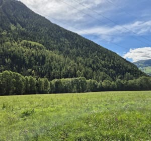 Sentier des Écureuil - Séez - 3