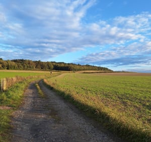Belle boucle mi-route mi-chemin dans le Pas-de-Calais - Verlincthun - 4