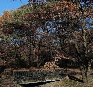 Park Aleksandry - Bieżanów - Justyna - 3