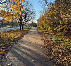 Krótko po obiadku - Lublin - 3