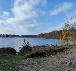 Kozienicki Park Krajobrazowy - zalew w Jedlni Letnisko - Jedlnia-Letnisko - 3